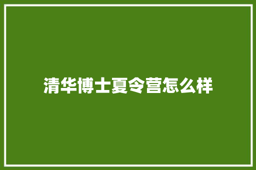 清华博士夏令营怎么样