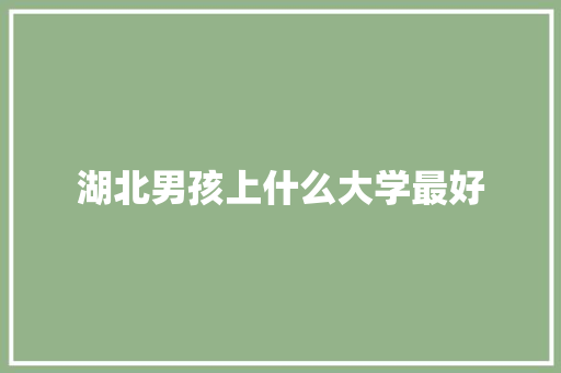 湖北男孩上什么大学最好