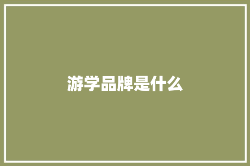 游学品牌是什么