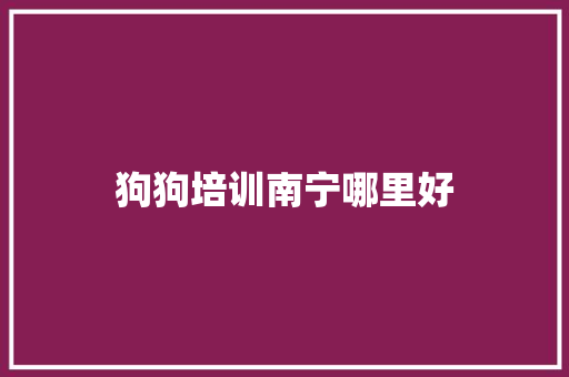 狗狗培训南宁哪里好