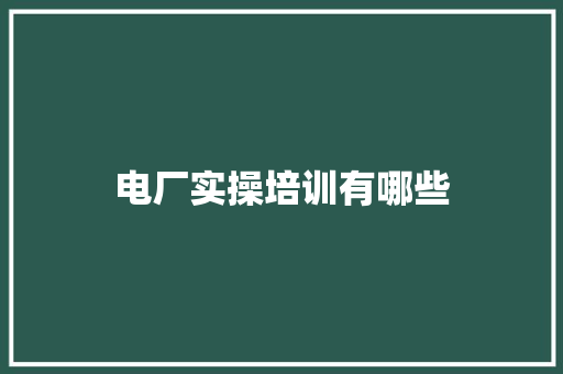 电厂实操培训有哪些