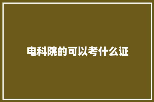 电科院的可以考什么证