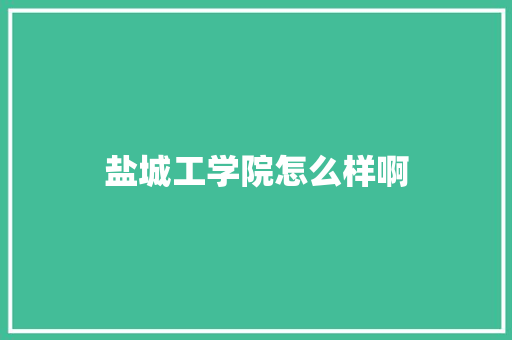 盐城工学院怎么样啊