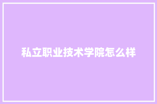 私立职业技术学院怎么样