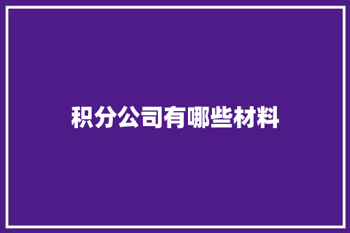 积分公司有哪些材料 论文范文