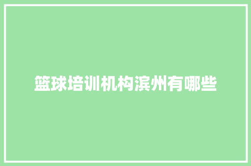 篮球培训机构滨州有哪些