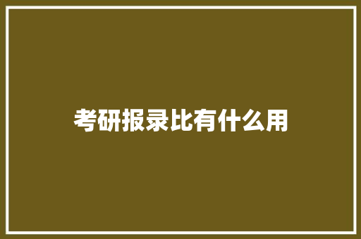 考研报录比有什么用 论文范文