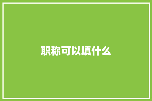 职称可以填什么