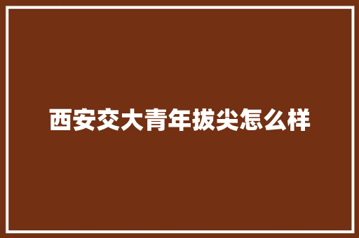 西安交大青年拔尖怎么样 申请书范文