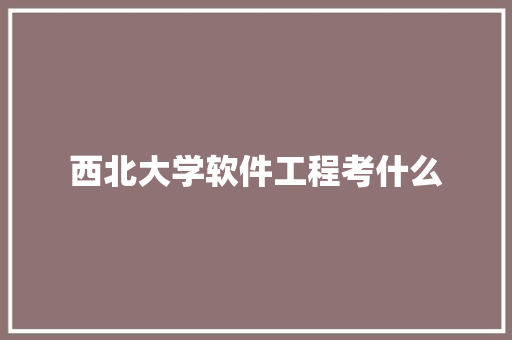 西北大学软件工程考什么