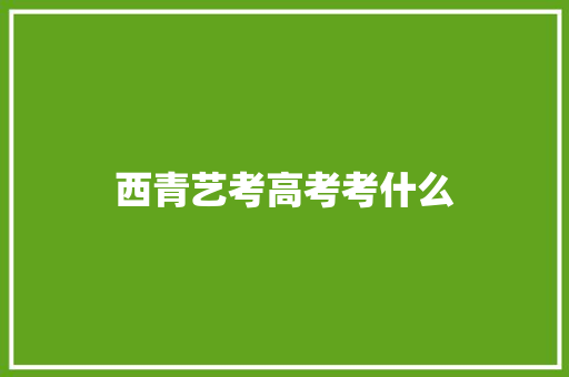 西青艺考高考考什么 报告范文