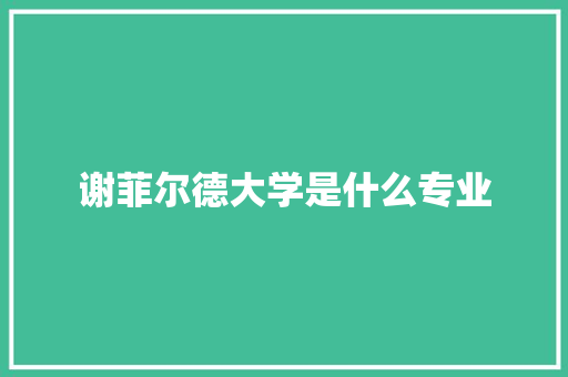 谢菲尔德大学是什么专业 综述范文