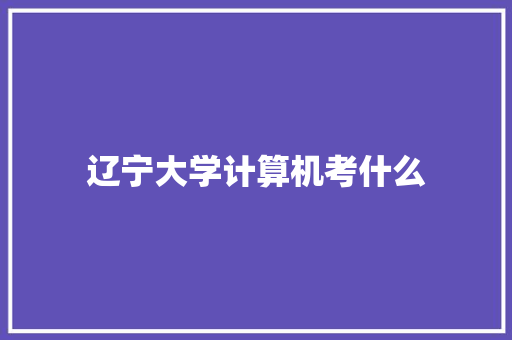 辽宁大学计算机考什么 综述范文