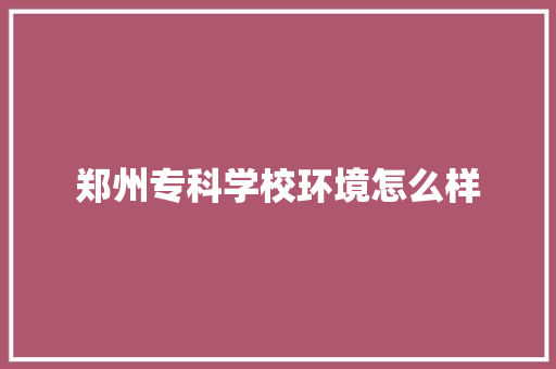 郑州专科学校环境怎么样 学术范文