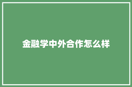 金融学中外合作怎么样