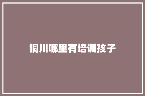 铜川哪里有培训孩子 会议纪要范文