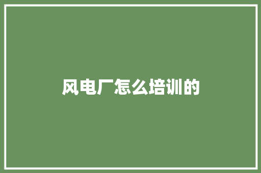 风电厂怎么培训的 职场范文