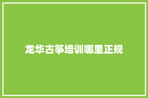 龙华古筝培训哪里正规