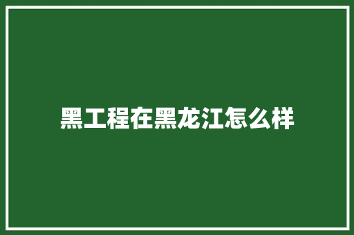 黑工程在黑龙江怎么样 申请书范文