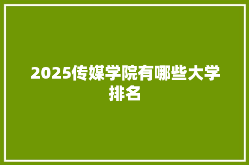 2025传媒学院有哪些大学排名 会议纪要范文