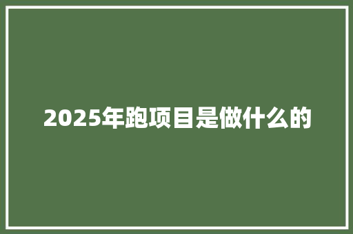 2025年跑项目是做什么的