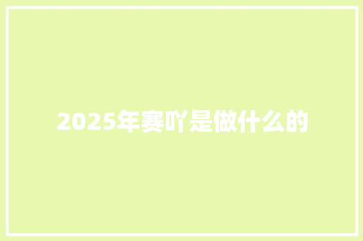 2025年赛吖是做什么的