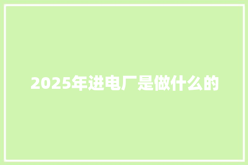 2025年进电厂是做什么的