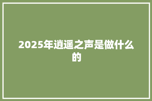 2025年逍遥之声是做什么的