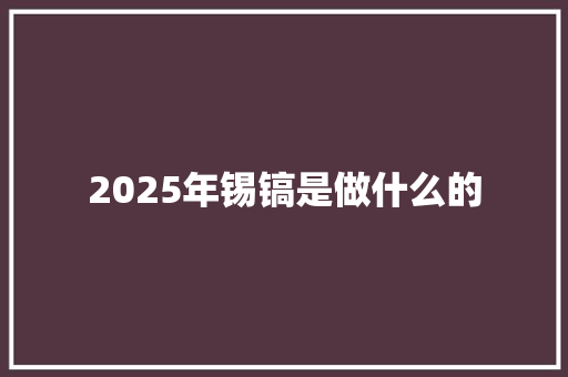 2025年锡镐是做什么的