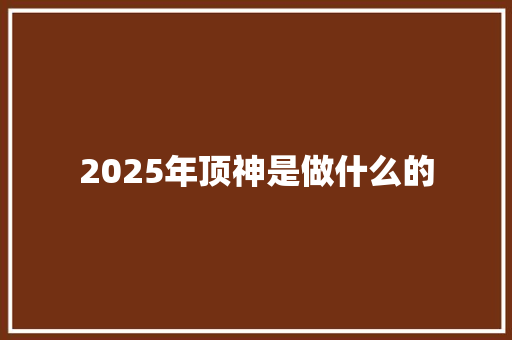 2025年顶神是做什么的