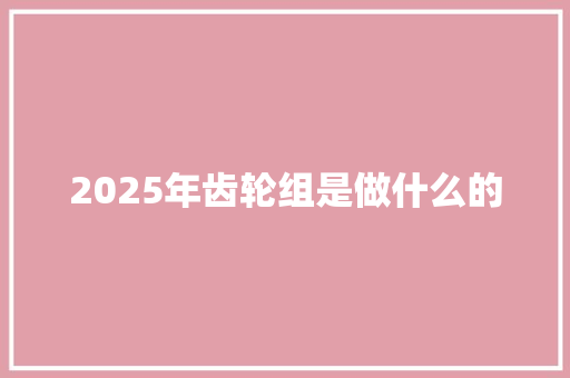 2025年齿轮组是做什么的