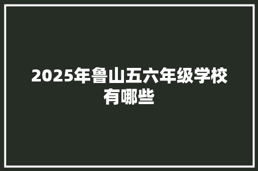 2025年鲁山五六年级学校有哪些 书信范文