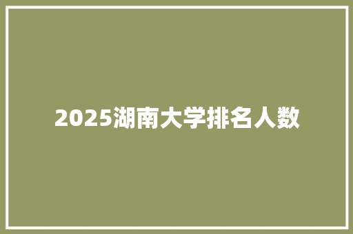 2025湖南大学排名人数