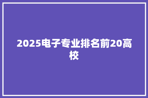 2025电子专业排名前20高校