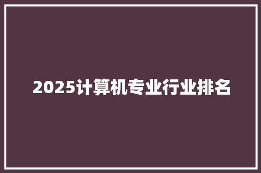 2025计算机专业行业排名