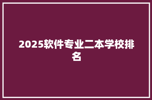 2025软件专业二本学校排名