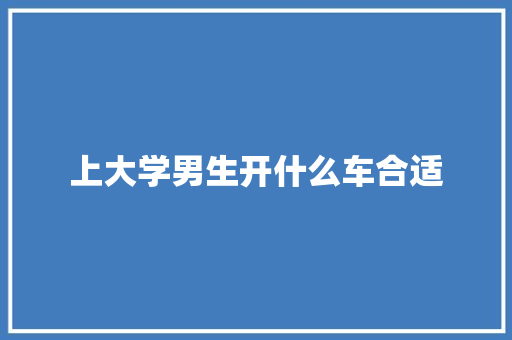 上大学男生开什么车合适