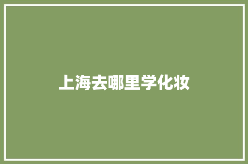 上海去哪里学化妆