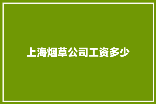 上海烟草公司工资多少