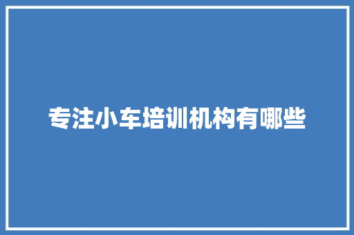 专注小车培训机构有哪些 申请书范文