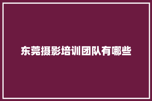 东莞摄影培训团队有哪些