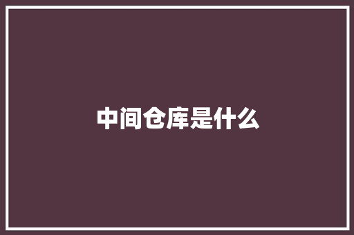 中间仓库是什么 报告范文