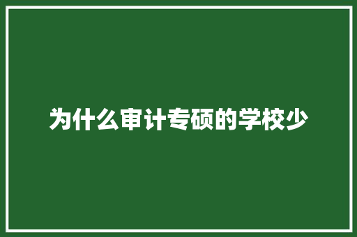 为什么审计专硕的学校少 演讲稿范文