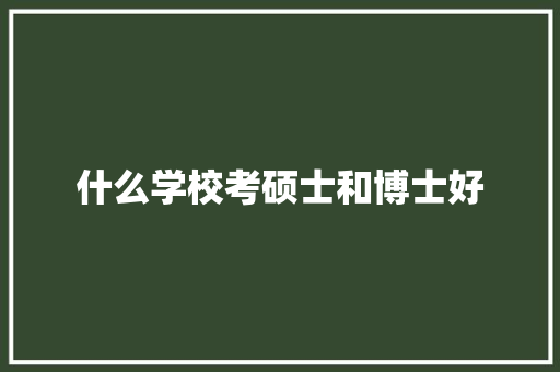 什么学校考硕士和博士好 报告范文