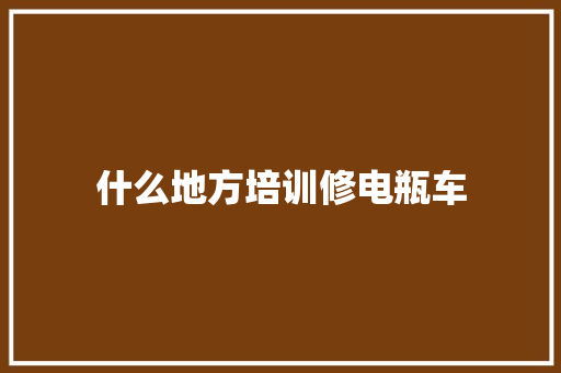 什么地方培训修电瓶车 生活范文