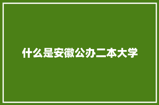 什么是安徽公办二本大学 求职信范文