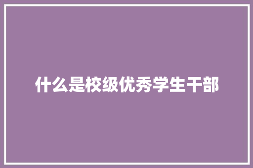 什么是校级优秀学生干部