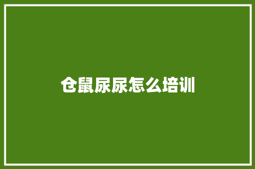 仓鼠尿尿怎么培训 论文范文