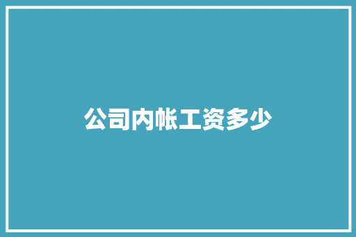 公司内帐工资多少