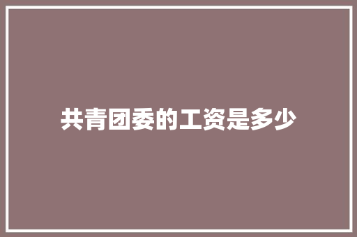 共青团委的工资是多少